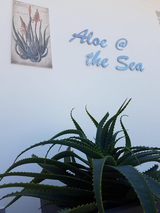 Apartment Aloe @ The Sea *