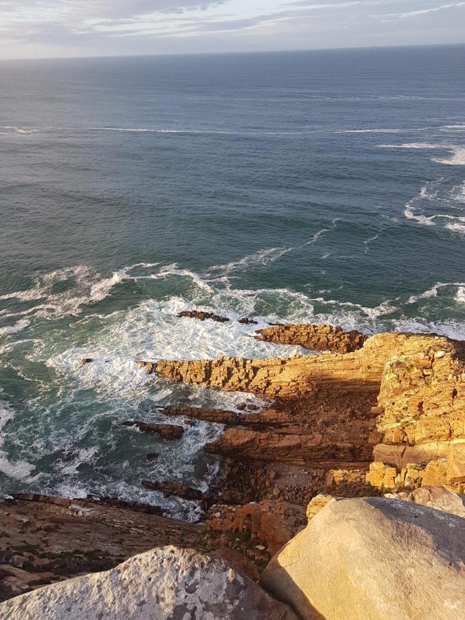 Aloe @ The Sea Mossel Bay
